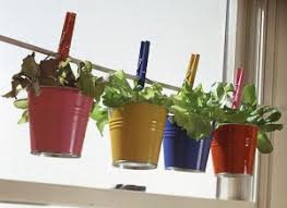 Grow one pot even in the tightest of places!
