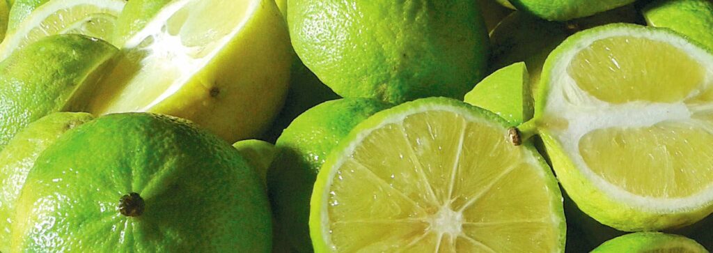 Bergamot from Calabia