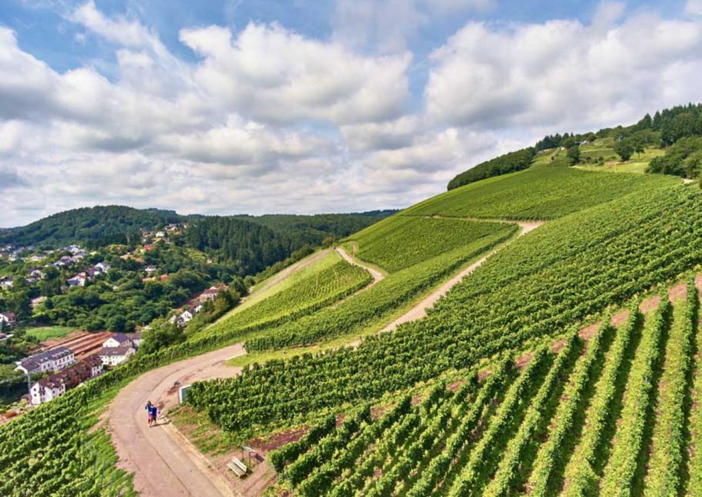 Saarburg vineyard