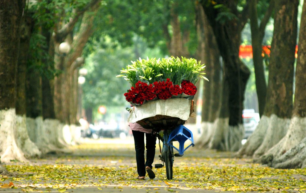Hanoi in September