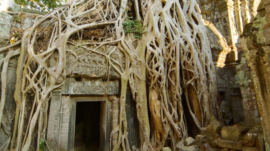 Ta Prohm Siem Reap
